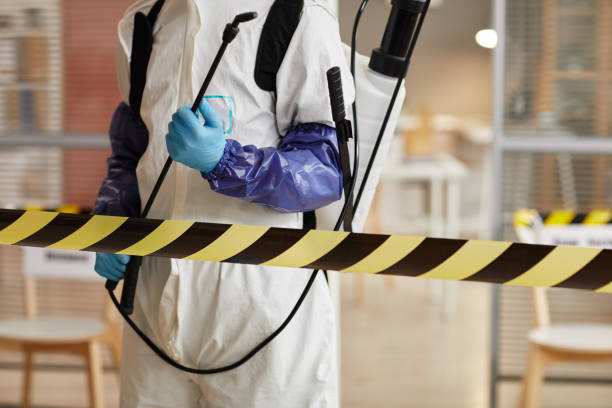 Professional Sewage Cleanup technician working in Ingalls, IN